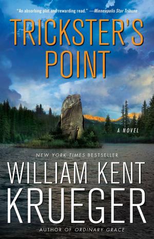 Cover of the book Trickster's Point by Michelle Karen