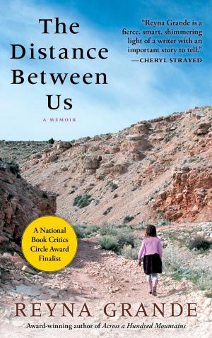 Cover of the book The Distance Between Us by Dominic Smith