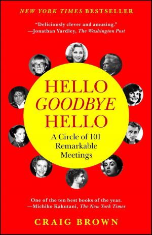 Cover of the book Hello Goodbye Hello by Miles J. Unger
