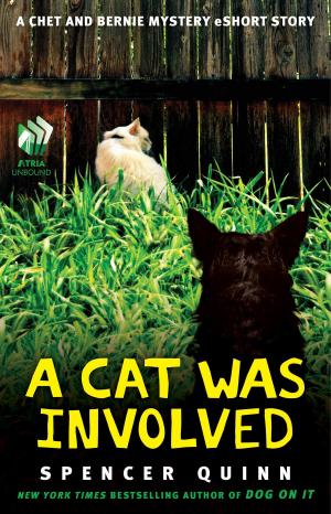 Cover of the book A Cat Was Involved by Julianna Baggott