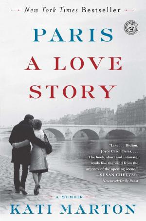 Book cover of Paris: A Love Story