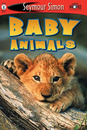 Cover of the book Baby Animals by Meg Mateo Ilasco, Joy Deangdeelert Cho
