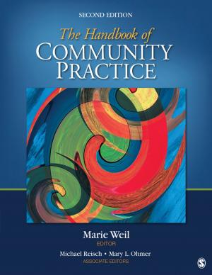 Cover of the book The Handbook of Community Practice by Mary Larkin