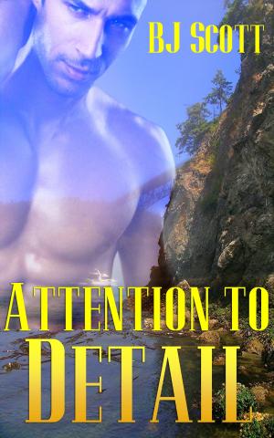 Cover of the book Attention to Detail by K. Lyn