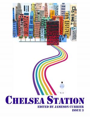 bigCover of the book Chelsea Station Issue 3 by 
