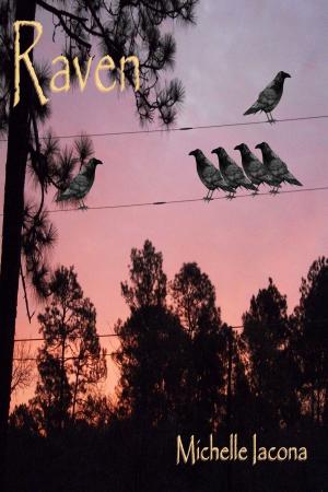 Cover of the book Raven by Terri Bruce