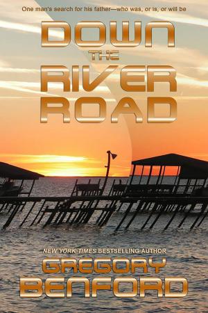 Book cover of Down The River Road