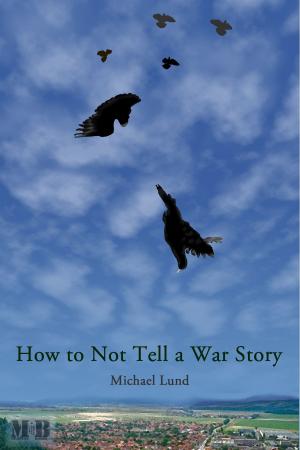 Cover of the book How to Not Tell a War Story by Anna Applegate