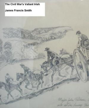 Book cover of The Civil War's Valiant Irish