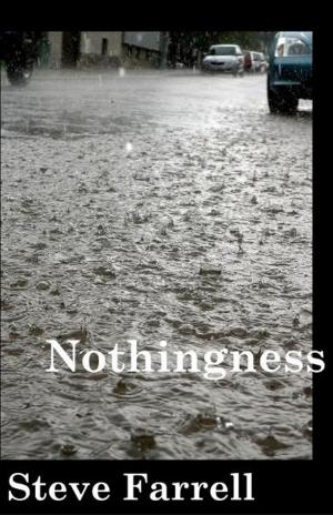 Cover of the book Nothingness by Speer Morgan