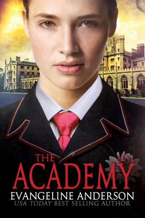 Cover of the book The Academy by JP Wright