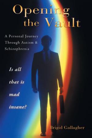Cover of the book Opening the Vault by Margaret Slocomb