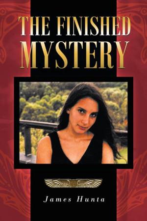 Cover of the book The Finished Mystery by Nicky Kassapian