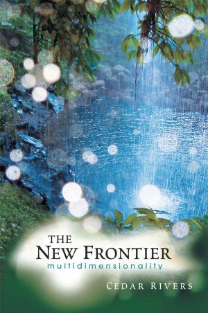 Cover of the book The New Frontier by Marie Lavin MSW LCSW