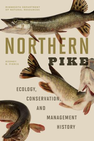 Cover of the book Northern Pike by Brian Massumi