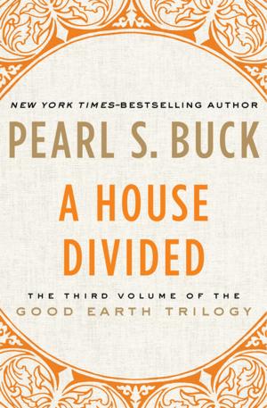 Cover of the book A House Divided by Terry Southern
