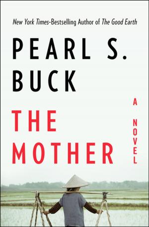 Book cover of The Mother: A Novel