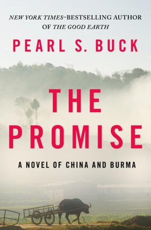 Book cover of The Promise: A Novel of China and Burma