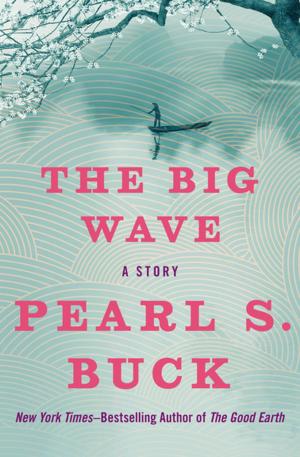 Book cover of The Big Wave