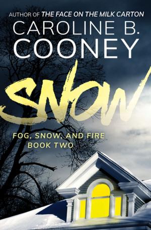 Cover of the book Snow by Sarah Zettel