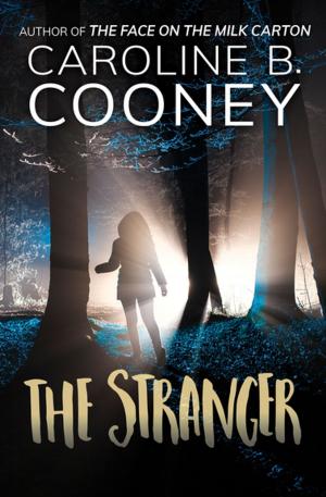 Cover of the book The Stranger by Daniel Stern