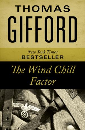 Cover of the book The Wind Chill Factor by Kathy Suchy Richards