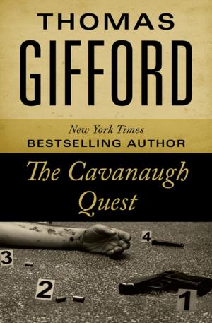 bigCover of the book The Cavanaugh Quest by 