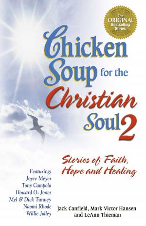 Cover of the book Chicken Soup for the Christian Soul 2 by Jack Canfield, Mark Victor Hansen, Amy Newmark