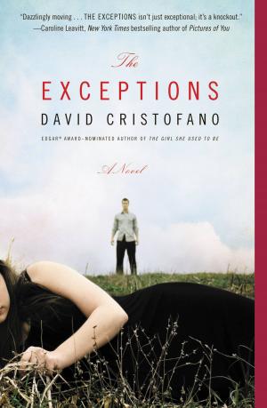 Book cover of The Exceptions