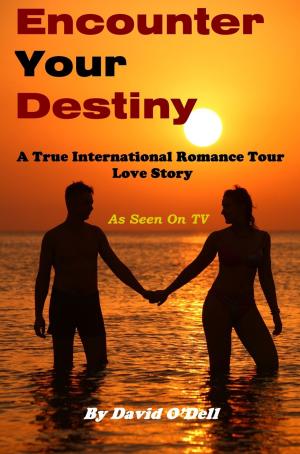 Cover of the book Encounter Your Destiny by Heather Justesen