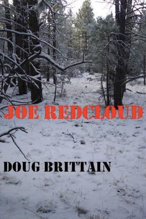 Cover of the book Joe Redcloud by Nicola Tarallo
