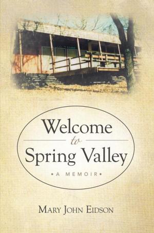 Cover of the book Welcome to Spring Valley by Scott Stanley