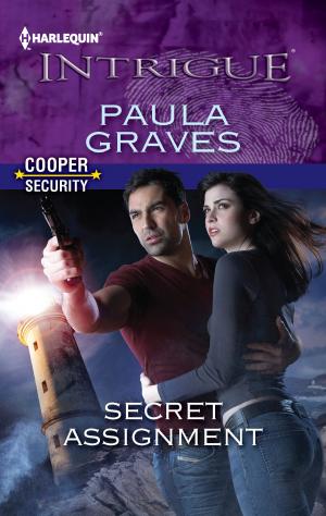 Cover of the book Secret Assignment by Amanda Stevens