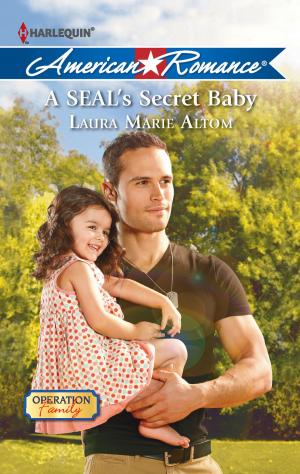 Book cover of A SEAL's Secret Baby