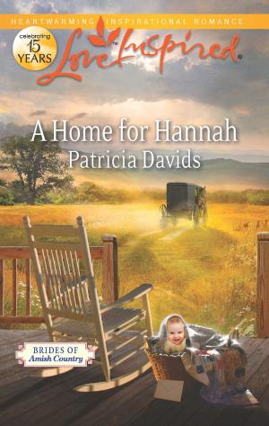 Cover of the book A Home for Hannah by Lena Diaz