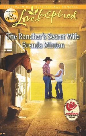 Cover of the book The Rancher's Secret Wife by Jessica Gilmore