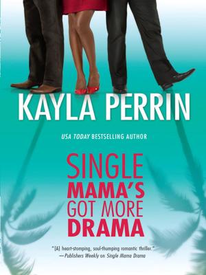 bigCover of the book Single Mama's Got More Drama by 
