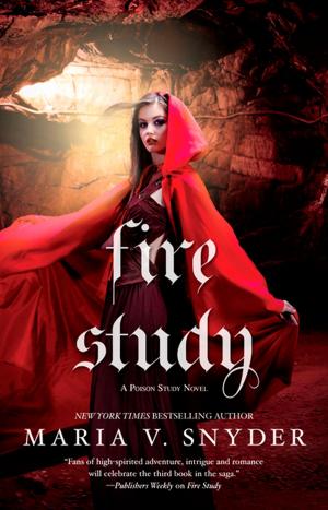 bigCover of the book Fire Study by 