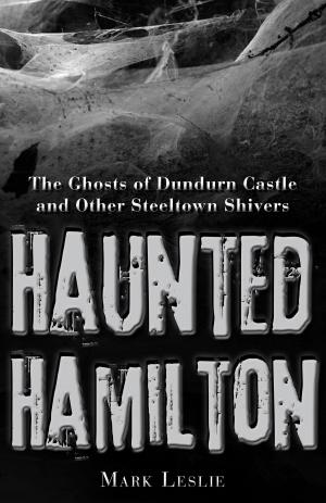 Book cover of Haunted Hamilton