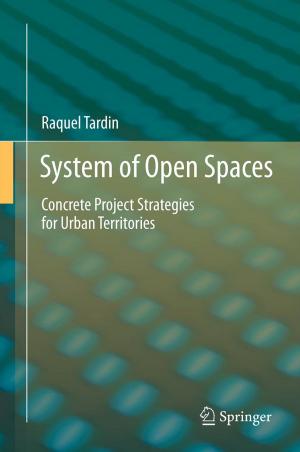 Cover of the book System of Open Spaces by Steven Belenko, Faye S. Taxman