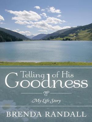 Cover of the book Telling of His Goodness by Rosemary Morton