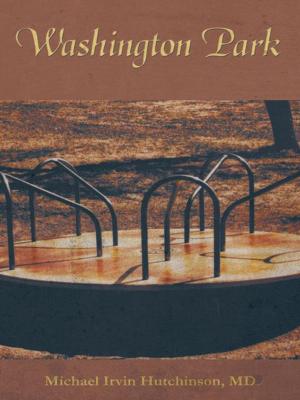 Cover of the book Washington Park by Terry Lewin