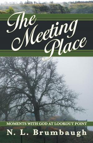 Cover of the book The Meeting Place by Bob Morris