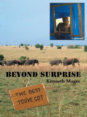 bigCover of the book Beyond Surprise by 