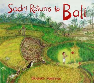 Cover of the book Sadri Returns to Bali by Brian Ashcraft, Shoko Ueda