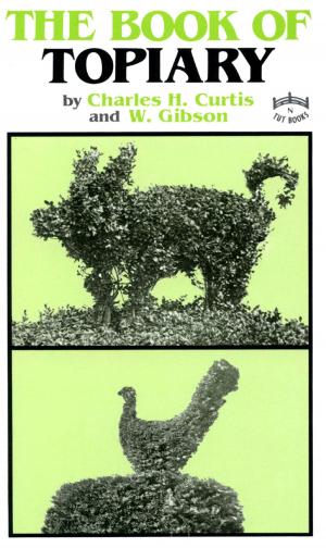 Cover of the book Book of Topiary by I Wayan Dibia, Rucina Ballinger
