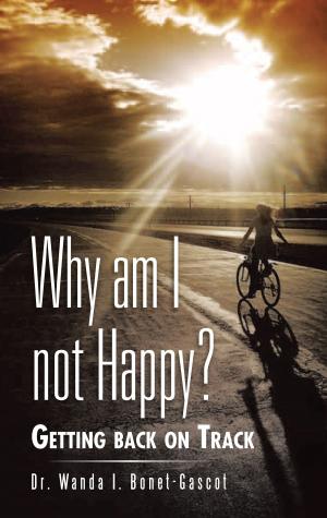 Cover of the book Why Am I Not Happy? by Jose Antonio Perez Jimenez