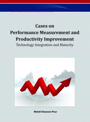 Cover of the book Cases on Performance Measurement and Productivity Improvement by Gilman C.K. Tam