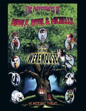 Cover of the book The Adventures of Bibole, Rivol & Michelle by Sinead McClure