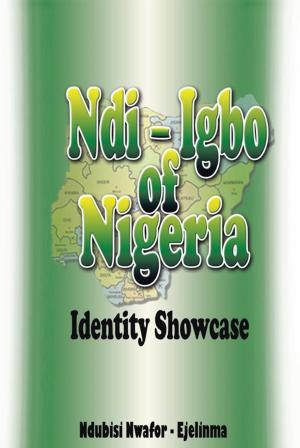Cover of the book Ndi-Igbo of Nigeria by Dr. Leonard Molczan